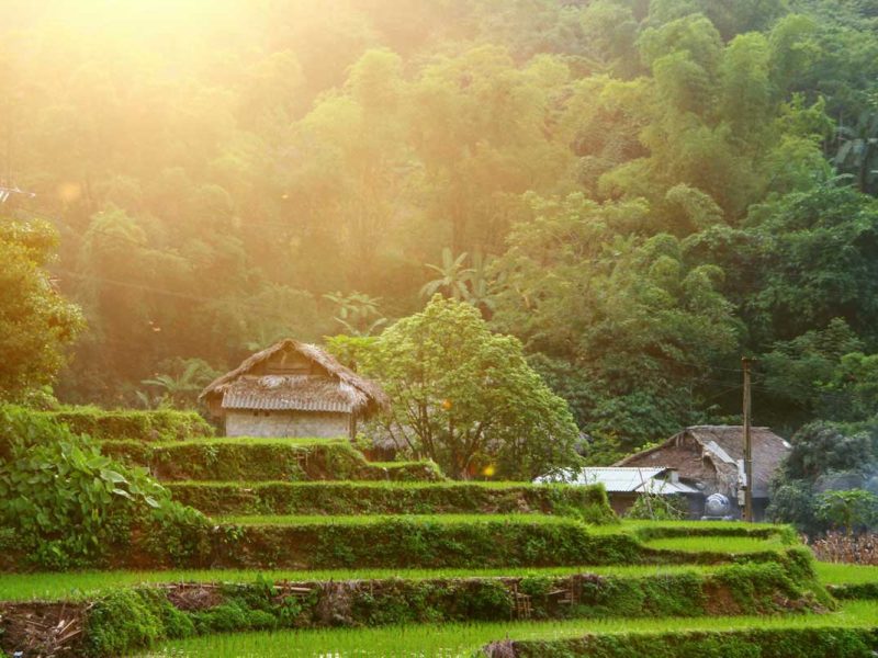 Sapa homestay between the rice fields