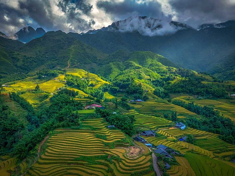 The rice fields of Sapa between the villages of Ta Van and Y Linh Ho.