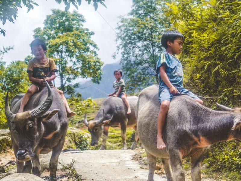 Sapa trekking