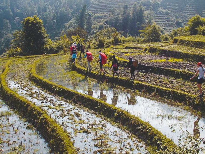 Sapa trekking