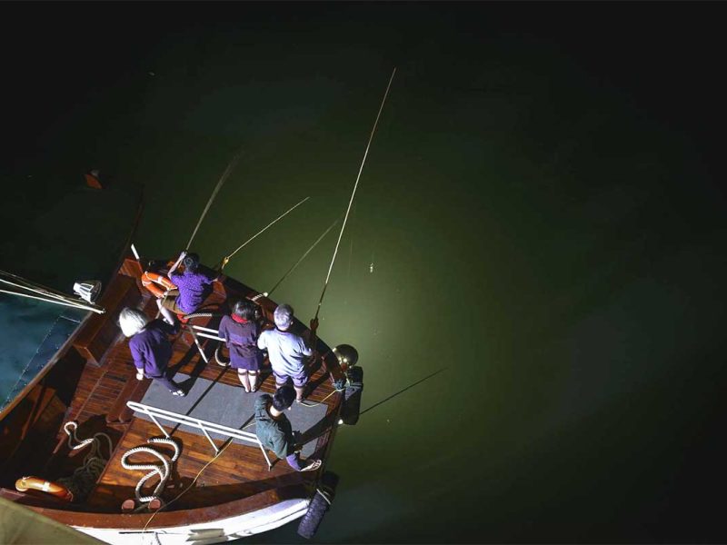 signature bai tu lung bay cruise 19