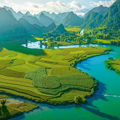 Phong Nam Valley in Summer – Lush green rice fields cover the valley in Phong Nam Valley in summer, with towering karst mountains providing a dramatic backdrop.