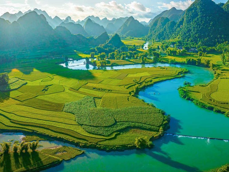 Phong Nam Valley in Summer – Lush green rice fields cover the valley in Phong Nam Valley in summer, with towering karst mountains providing a dramatic backdrop.