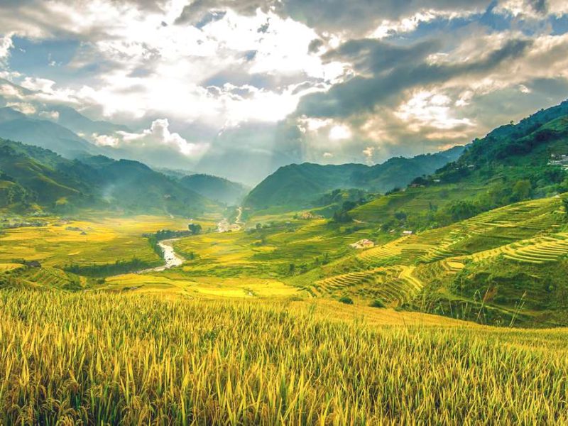 ta van trekking sapa Ta Van trekking Sapa