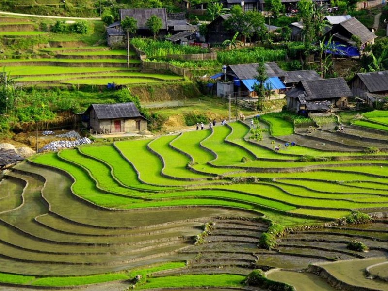ta van village 2 Ta Van village
