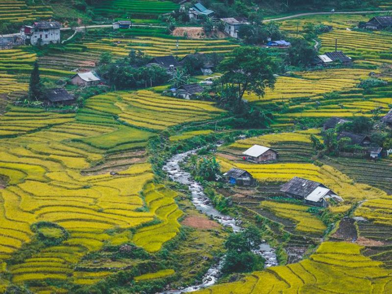 Ta Van village trekking