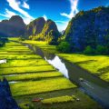 A view of the stunning rice fields along the river in Tam Coc, explored during a boat tour.