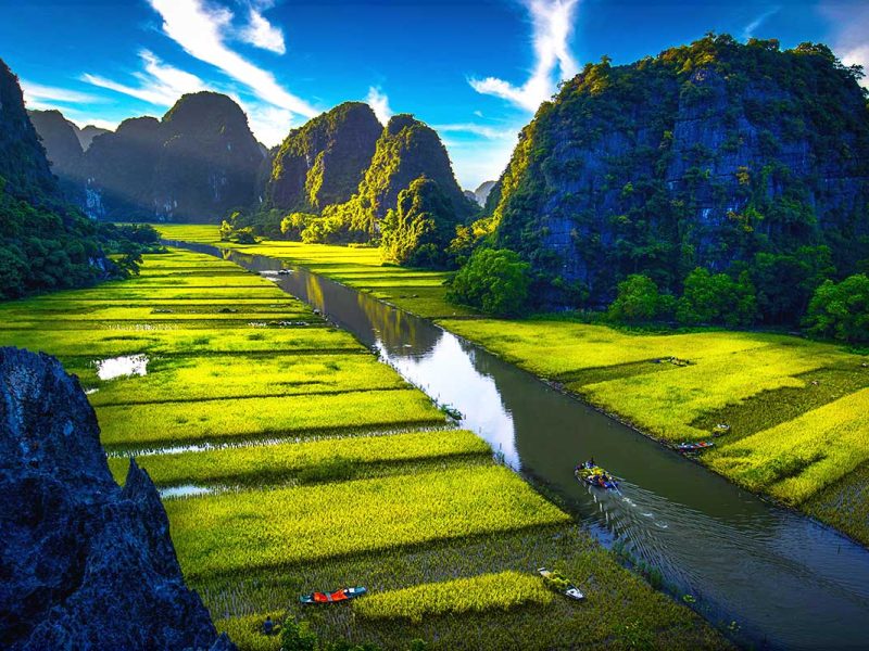 A view of the stunning rice fields along the river in Tam Coc, explored during a boat tour.