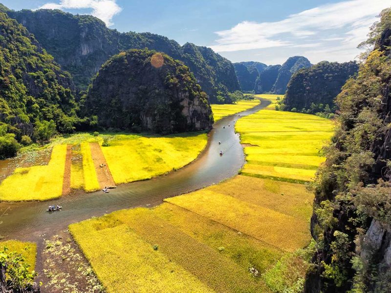 Rice fields and river of Tam Coc