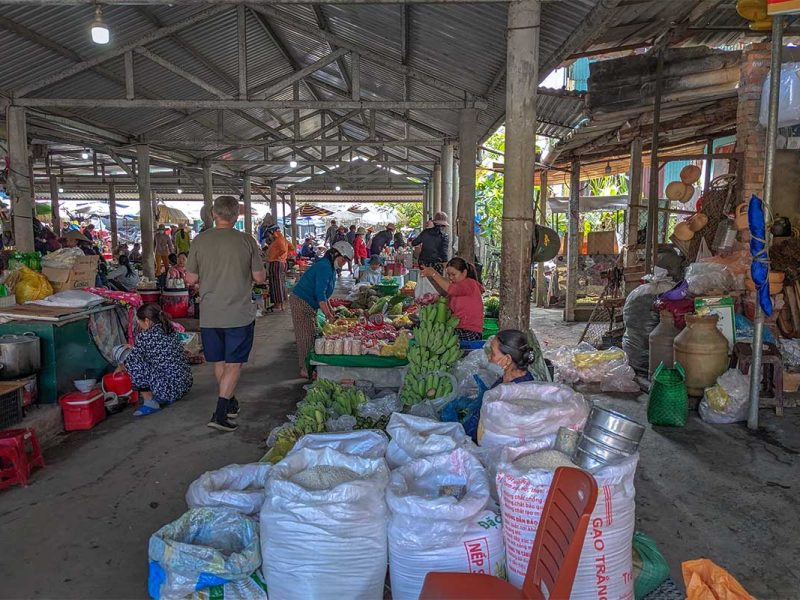 A tourist walking through the very local Thanh Toan Market were sellers selling vegetables, fruits and other local produce