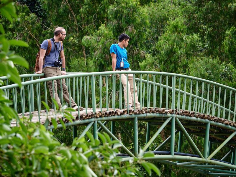 Thung Nham bird garden
