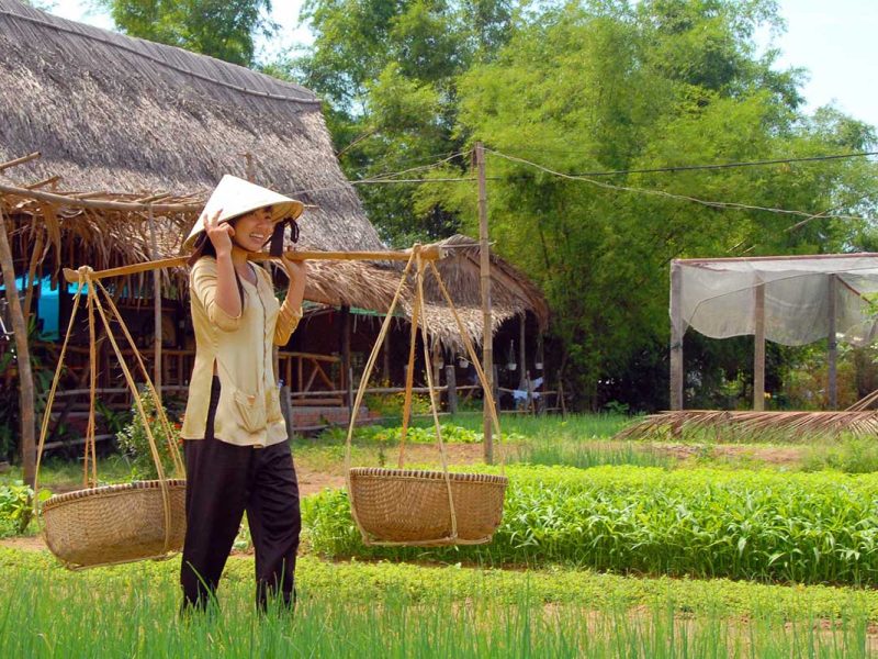 tra que vegetable village 2 Tra Que Vegetable Village in Hoi An
