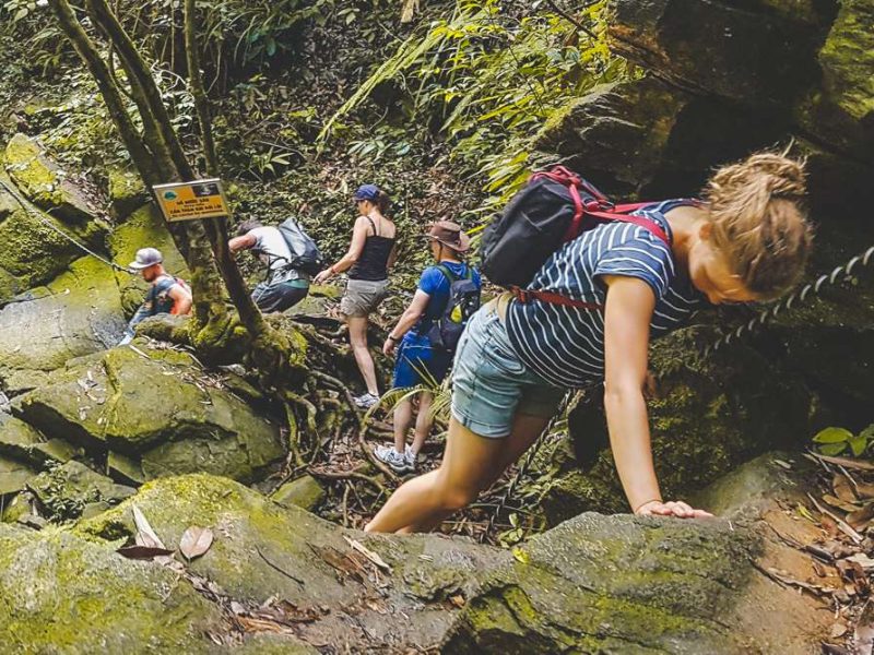trekking in Bach Ma National Park