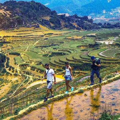 3 tourists are trekking in Sapa on an unmarked route, right on the edge of a terraced rice fields