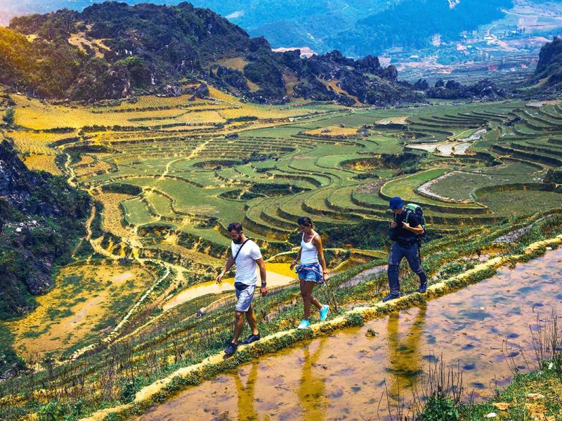 3 tourists are trekking in Sapa on an unmarked route, right on the edge of a terraced rice fields