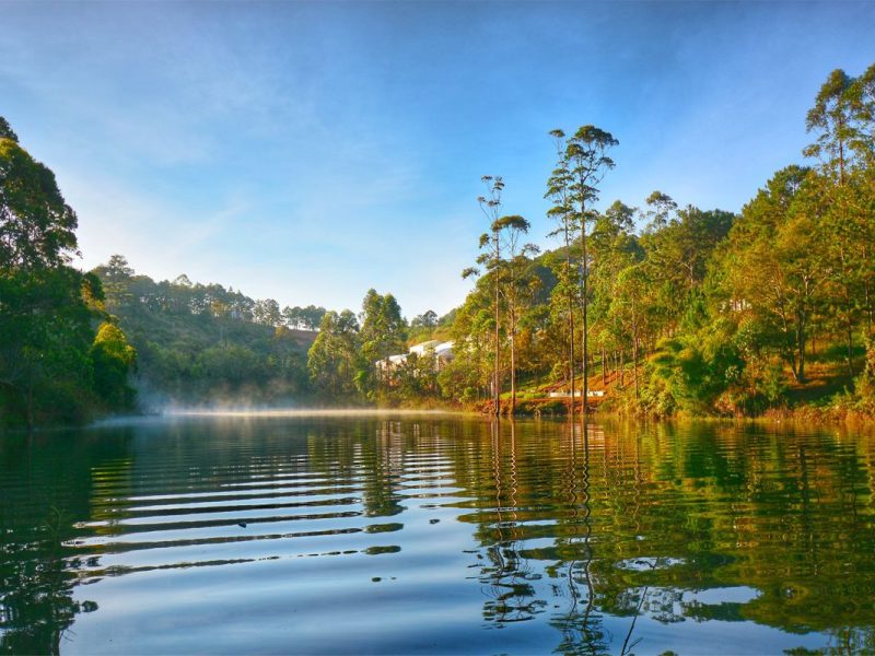 tuyen lam lake 2 tuyen lam lake 2